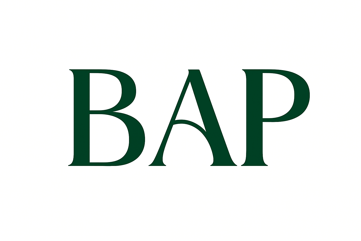 Công Ty TNHH Thương Mại Và Đầu Tư Bách An Phát