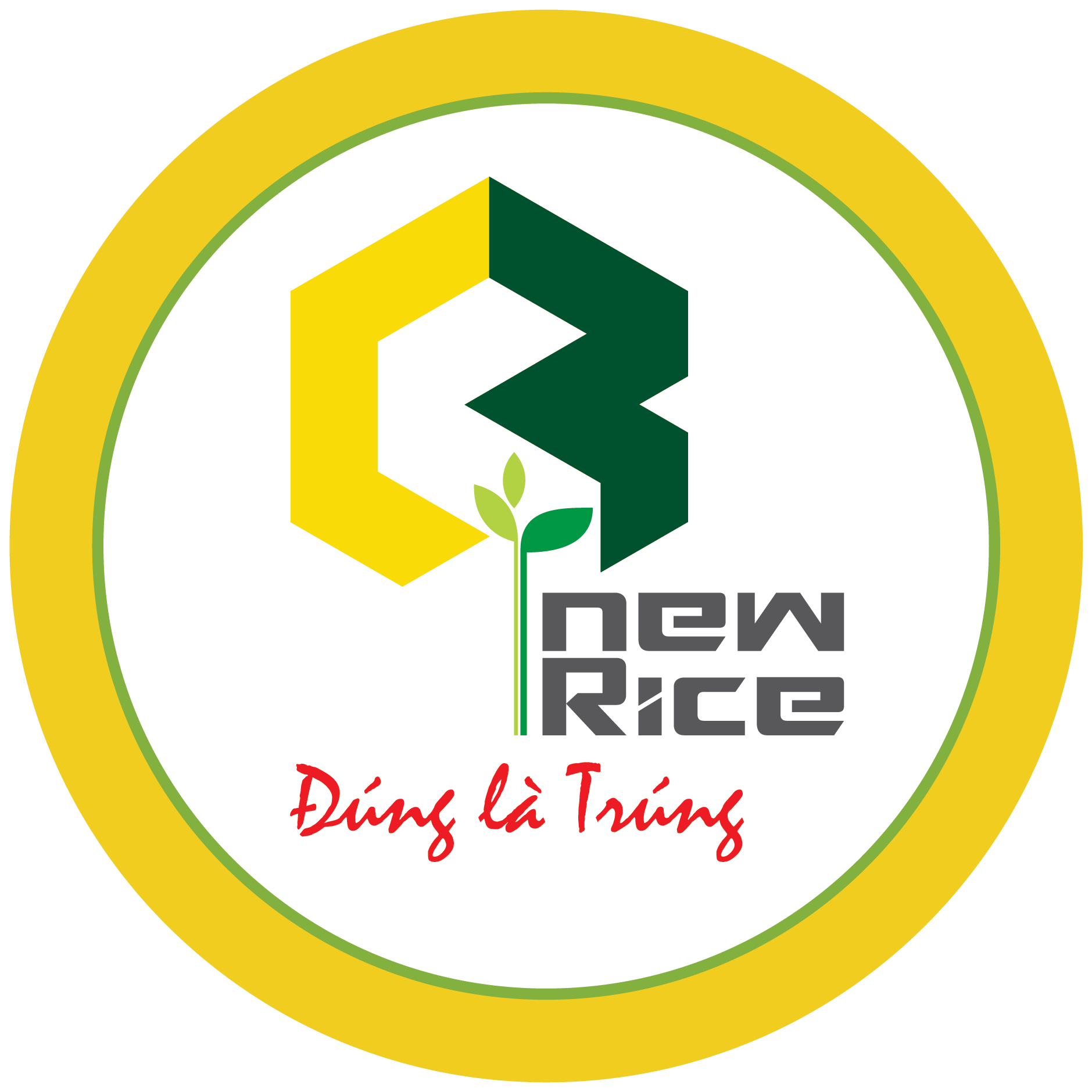 Công Ty Cổ Phần S New Rice