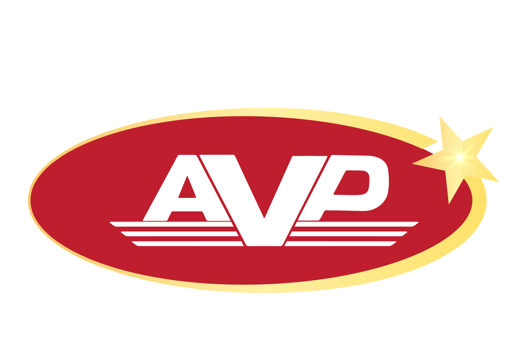 Công Ty TNHH MTV Sản Xuất Thương Mại An Việt Phát