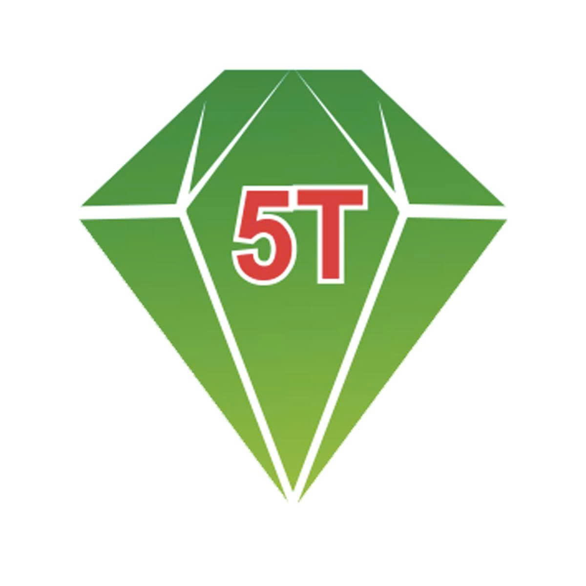 Công Ty TNHH Luật Và Kế Toán 5T Star