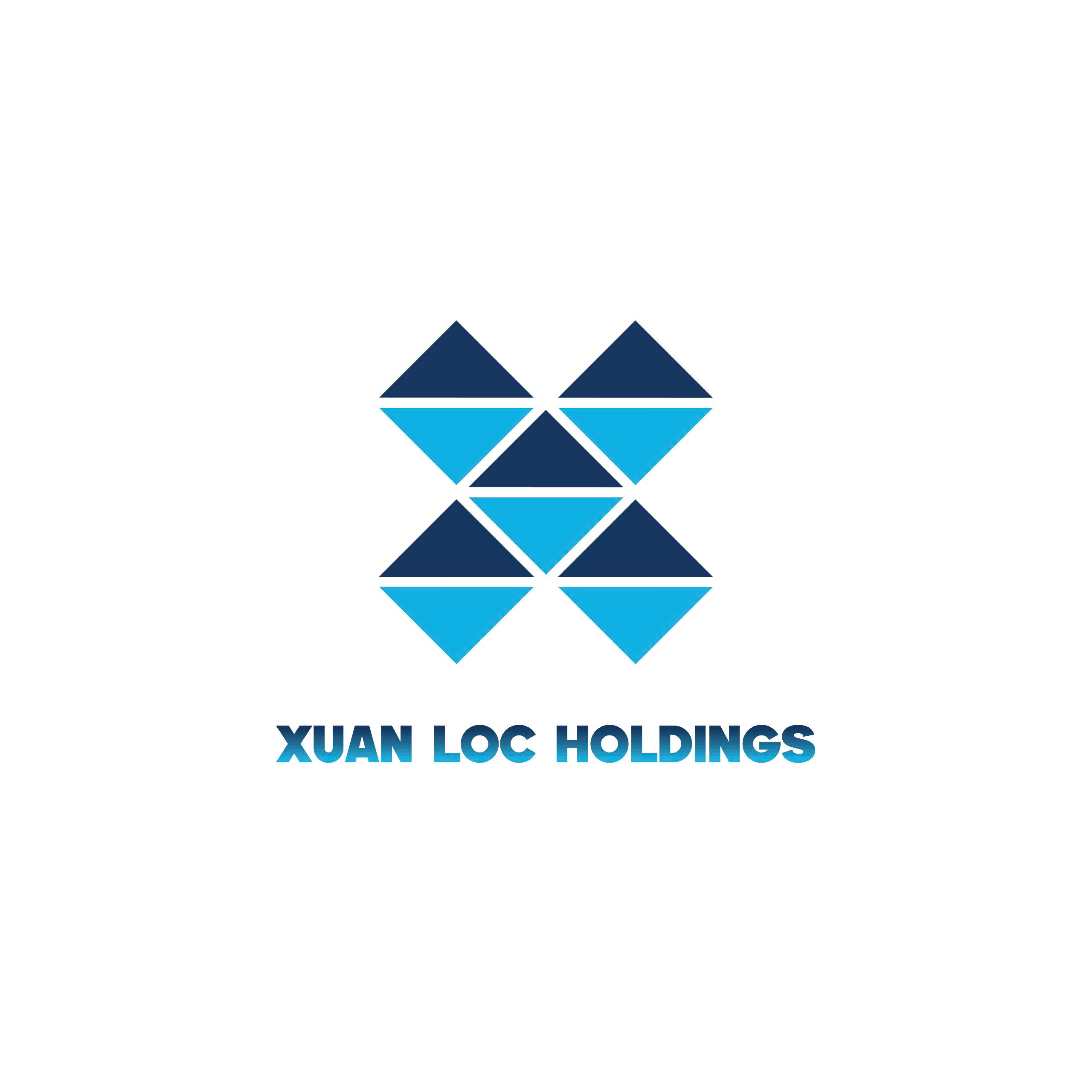 Công Ty Cổ Phần Đầu Tư Địa Ốc Xuân Lộc Holdings