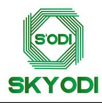 Công Ty TNHH Sky Odi