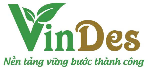 Công Ty Cổ Phần Phát Triển Hạ Tầng Và Dịch Vụ Giáo Dục Việt Nam