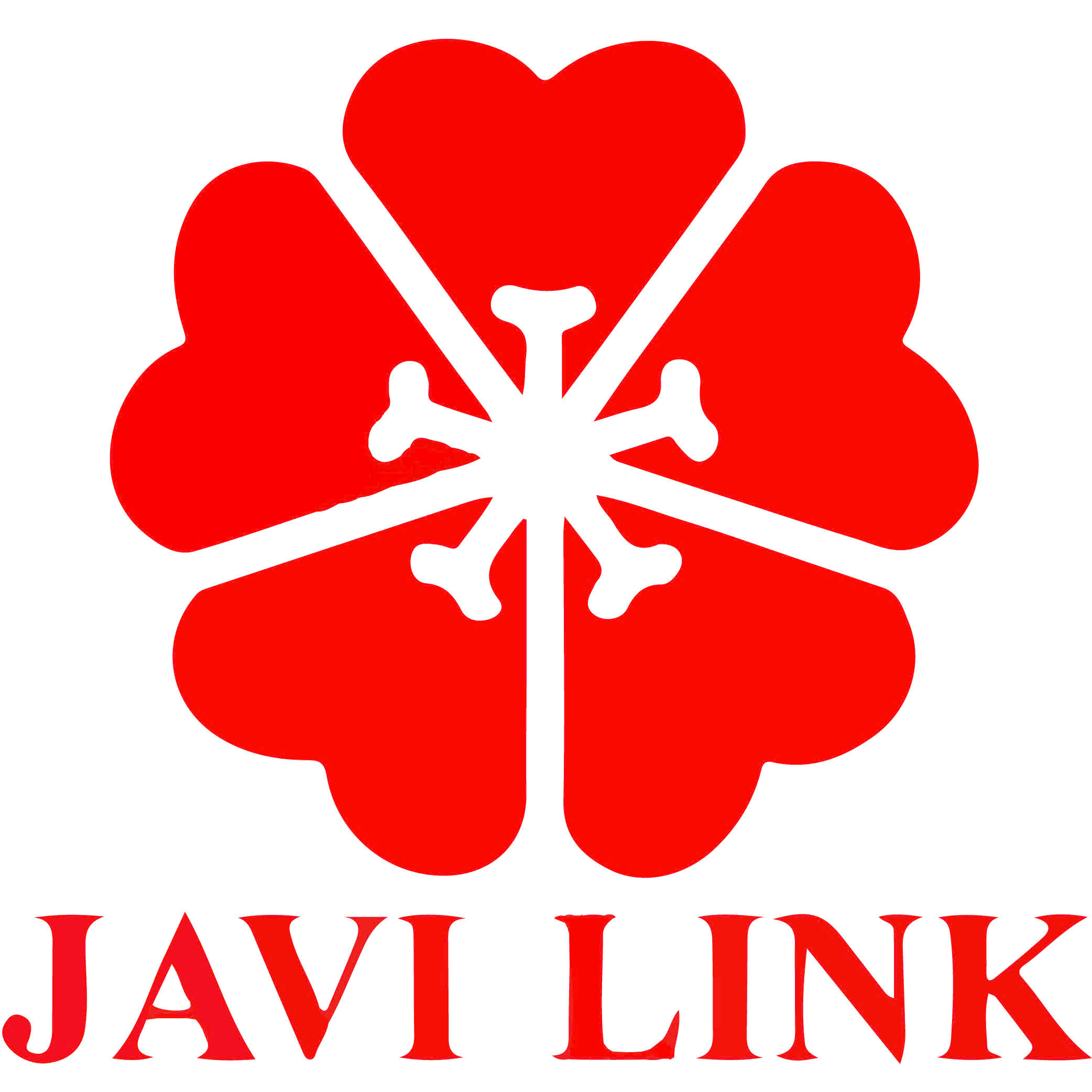 Công Ty Cổ Phần Nuôi Dưỡng Javilink