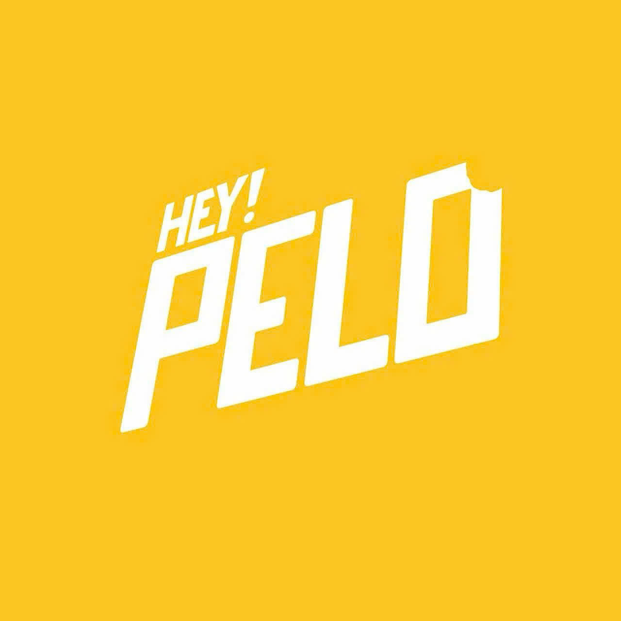 Công Ty Trách Nhiệm Hữu Hạn Pelo