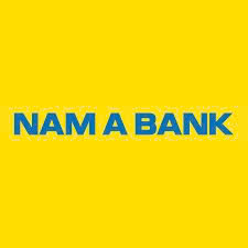 Ngân Hàng Thương Mại Cổ Phần Nam Á - Chi Nhánh Hàm Nghi