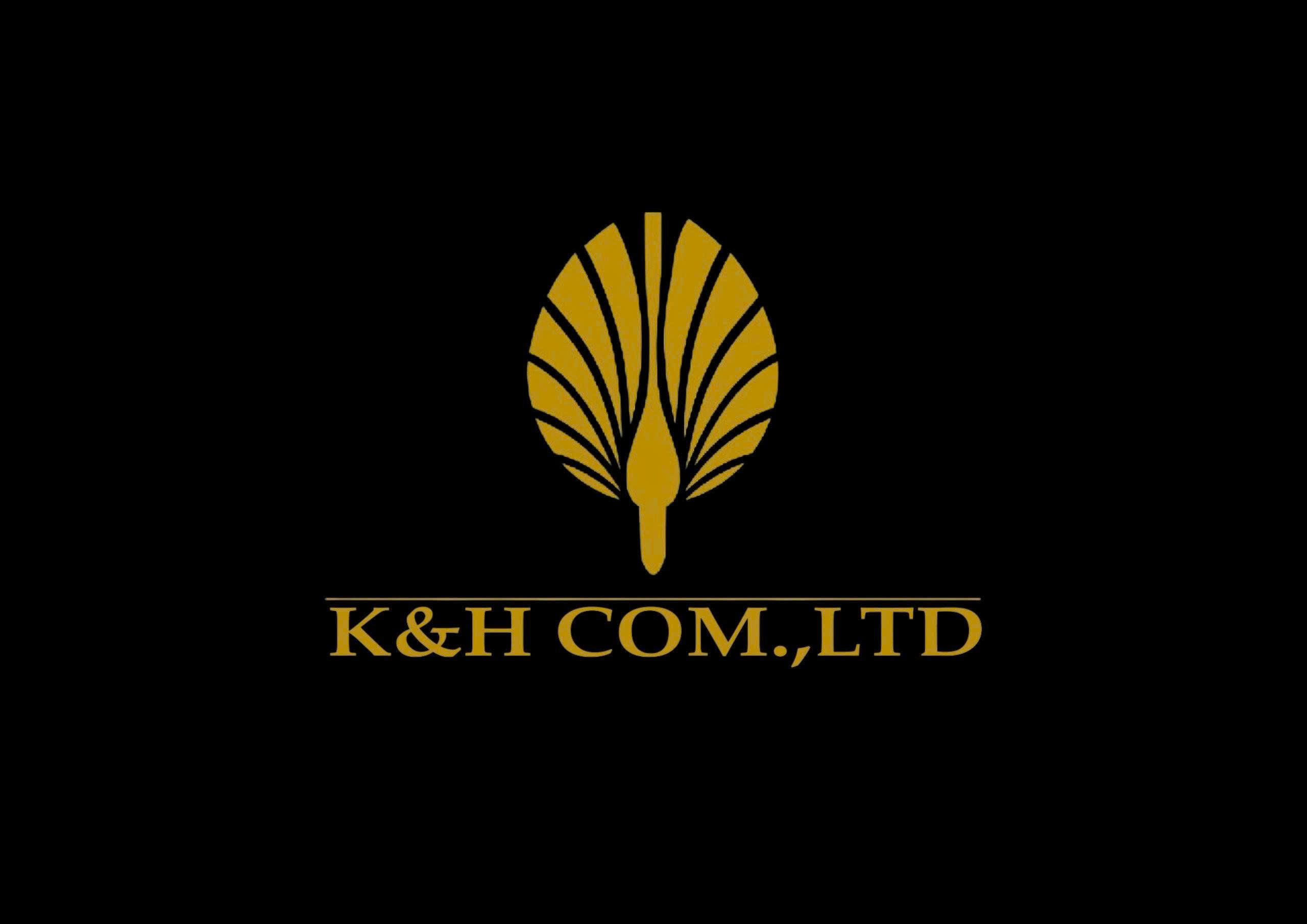 Công Ty TNHH Giải Trí K&h