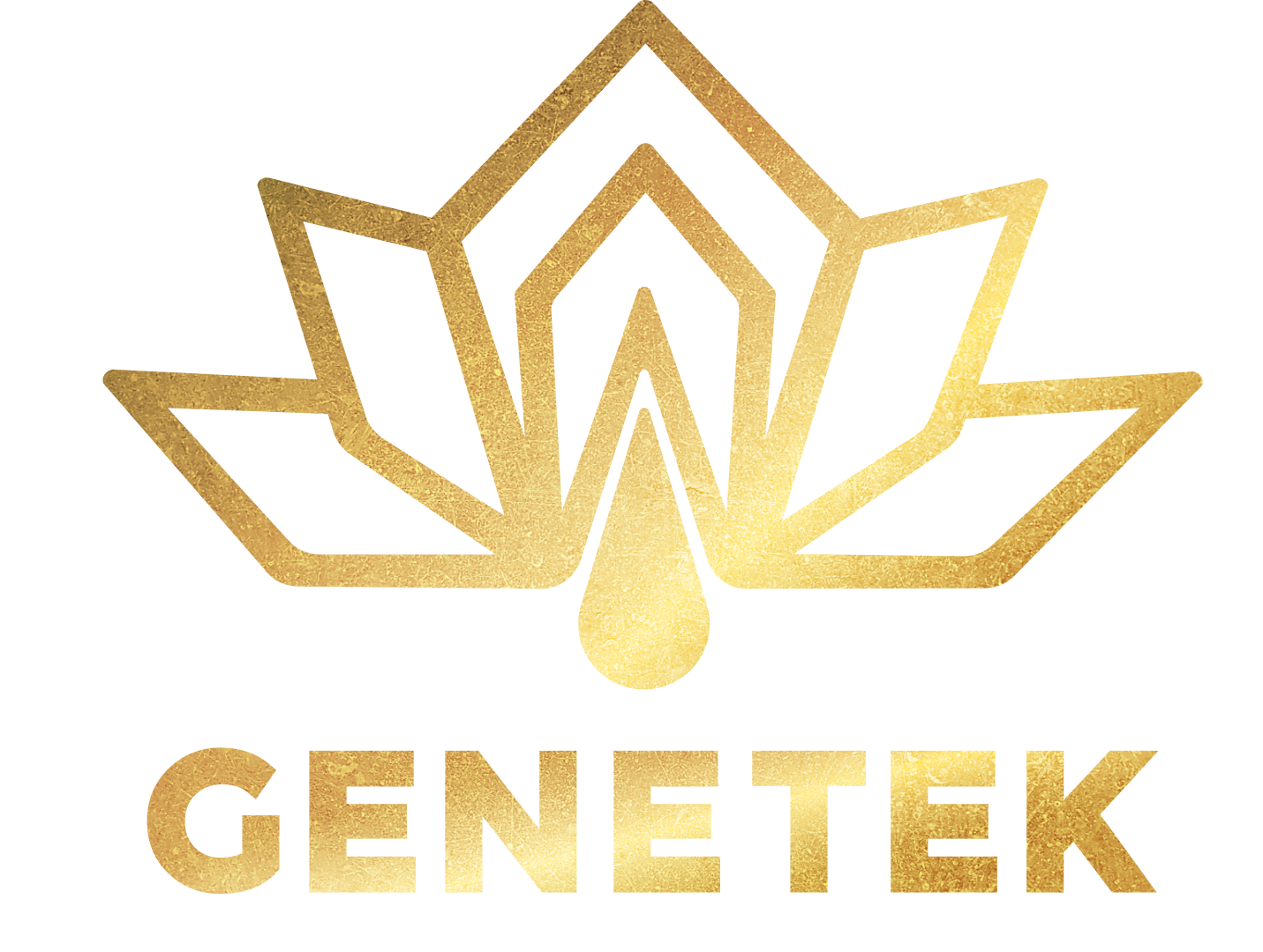 Công Ty Cổ Phần Công Nghệ Số Genetek