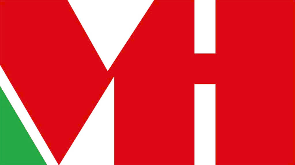Công Ty TNHH Thương Mại Xăng Dầu Minh Hồng