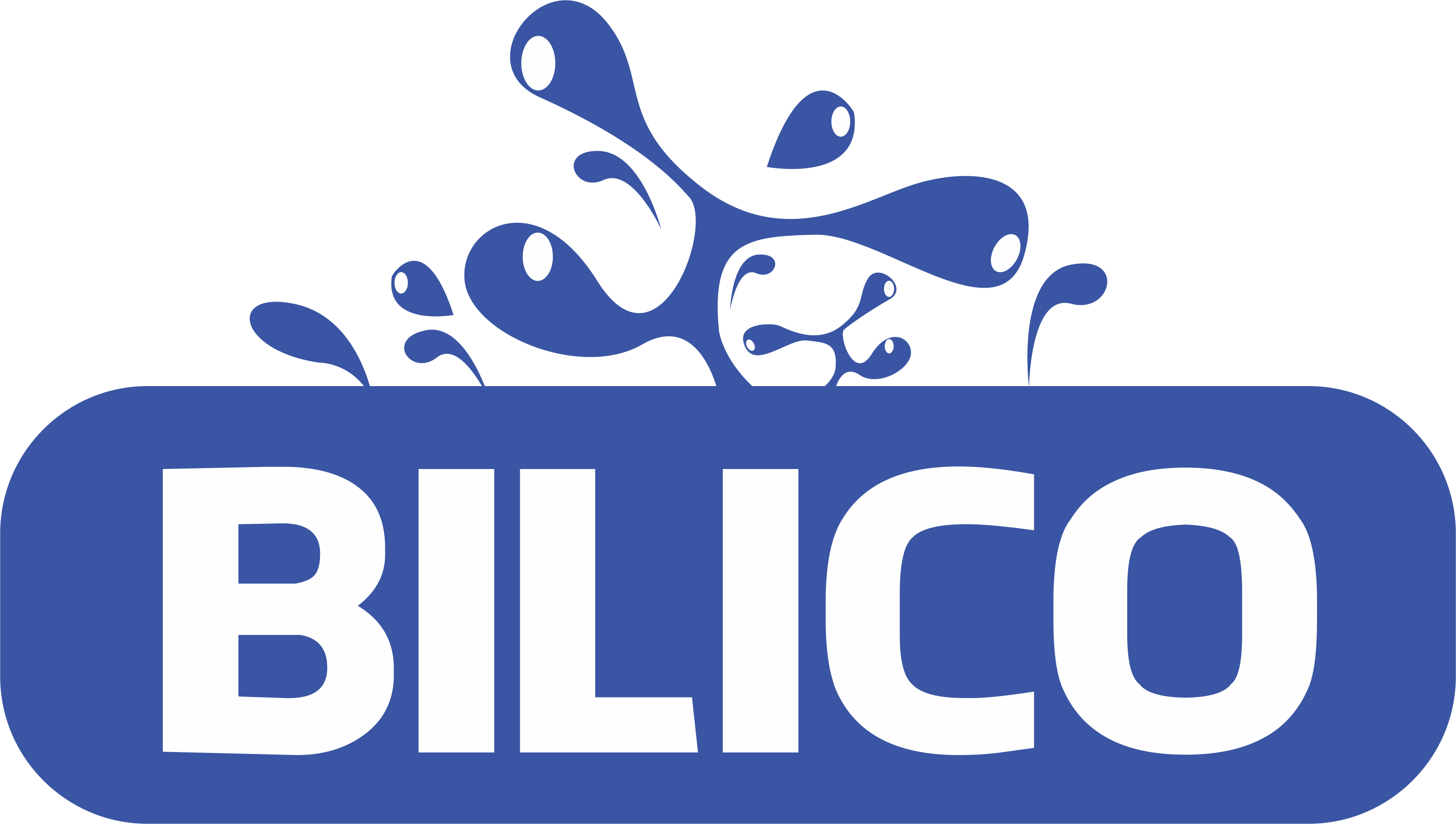Công Ty Cổ Phần Xây Dựng Và Thiết Bị Bilico