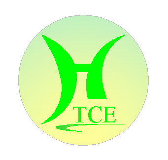 Công Ty CP Kỹ Thuật Xây Dựng Toyo (Toyo Civil Engineering Corporation)
