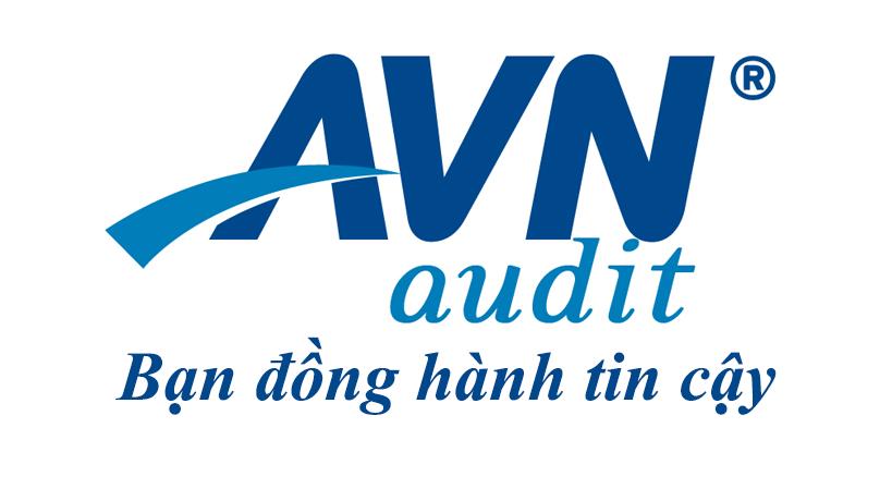 Công Ty TNHH Kiểm Toán Avn Việt Nam