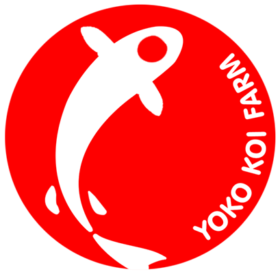 Công Ty Cổ Phần Đầu Tư Yoko Nhật Bản logo
