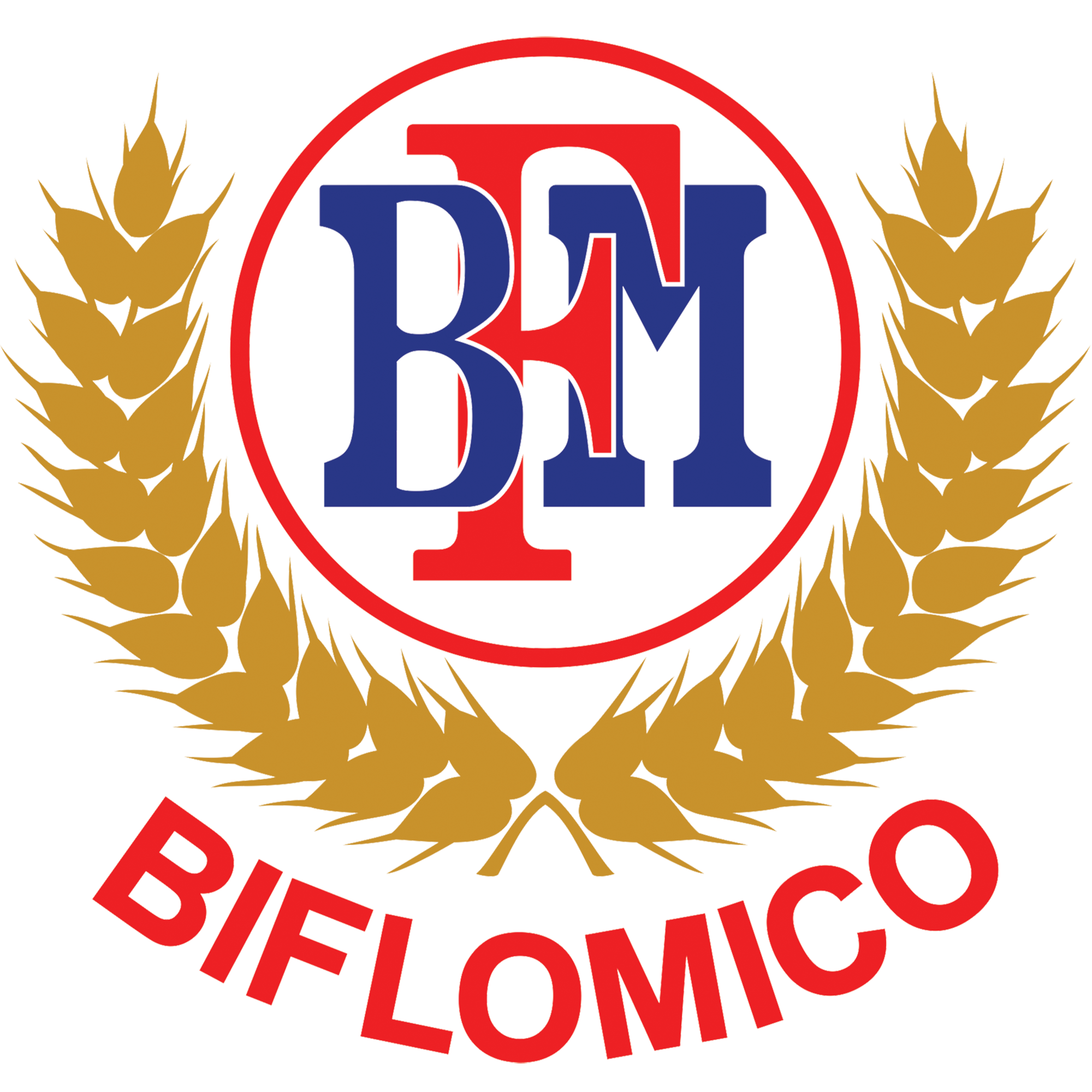 CHI NHÁNH TỔNG CÔNG TY LƯƠNG THỰC MIỀN NAM - CÔNG TY CỔ PHẦN - CÔNG TY BỘT MÌ BÌNH ĐÔNG