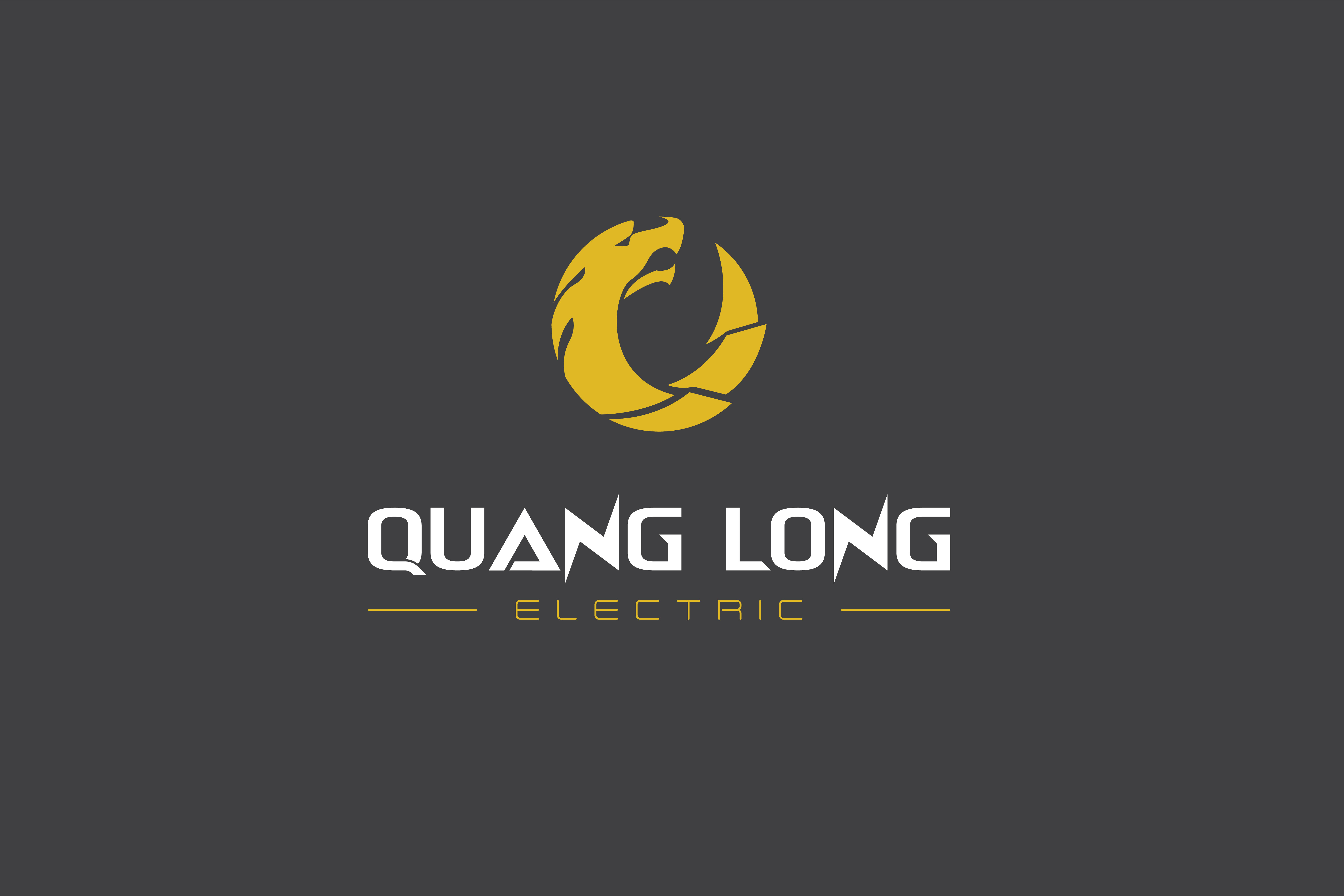 Công Ty TNHH Thương Mại Điện Và Vật Tư Xây Dựng Quang Long