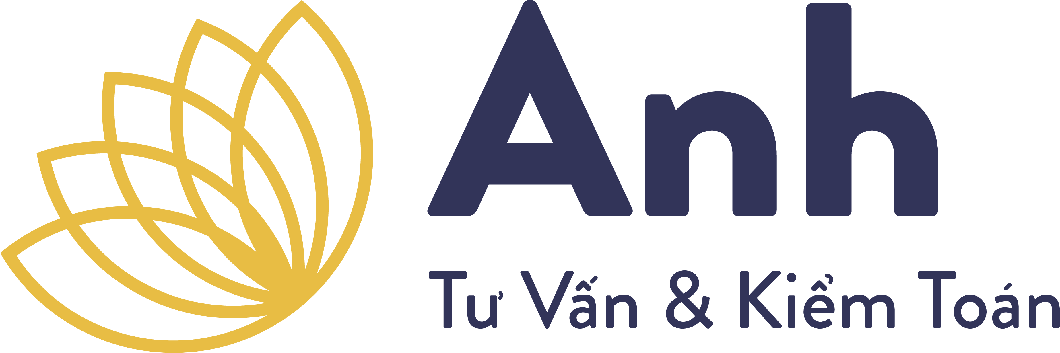 Công Ty TNHH Tư Vấn Và Kiểm Toán Anh