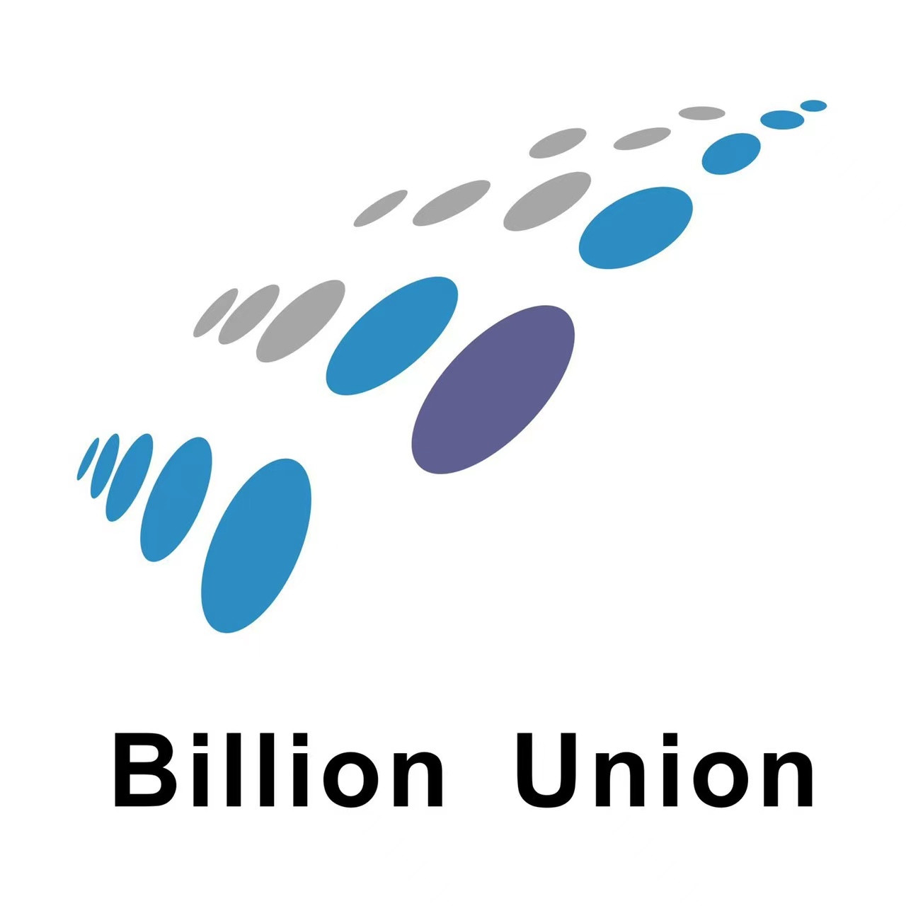 Công Ty TNHH Dệt Billion Union Thanh Hoa