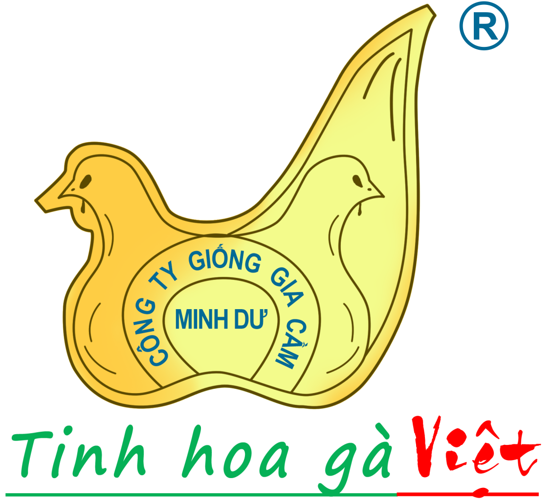 Công Ty TNHH Giống Gia Cầm Minh Dư