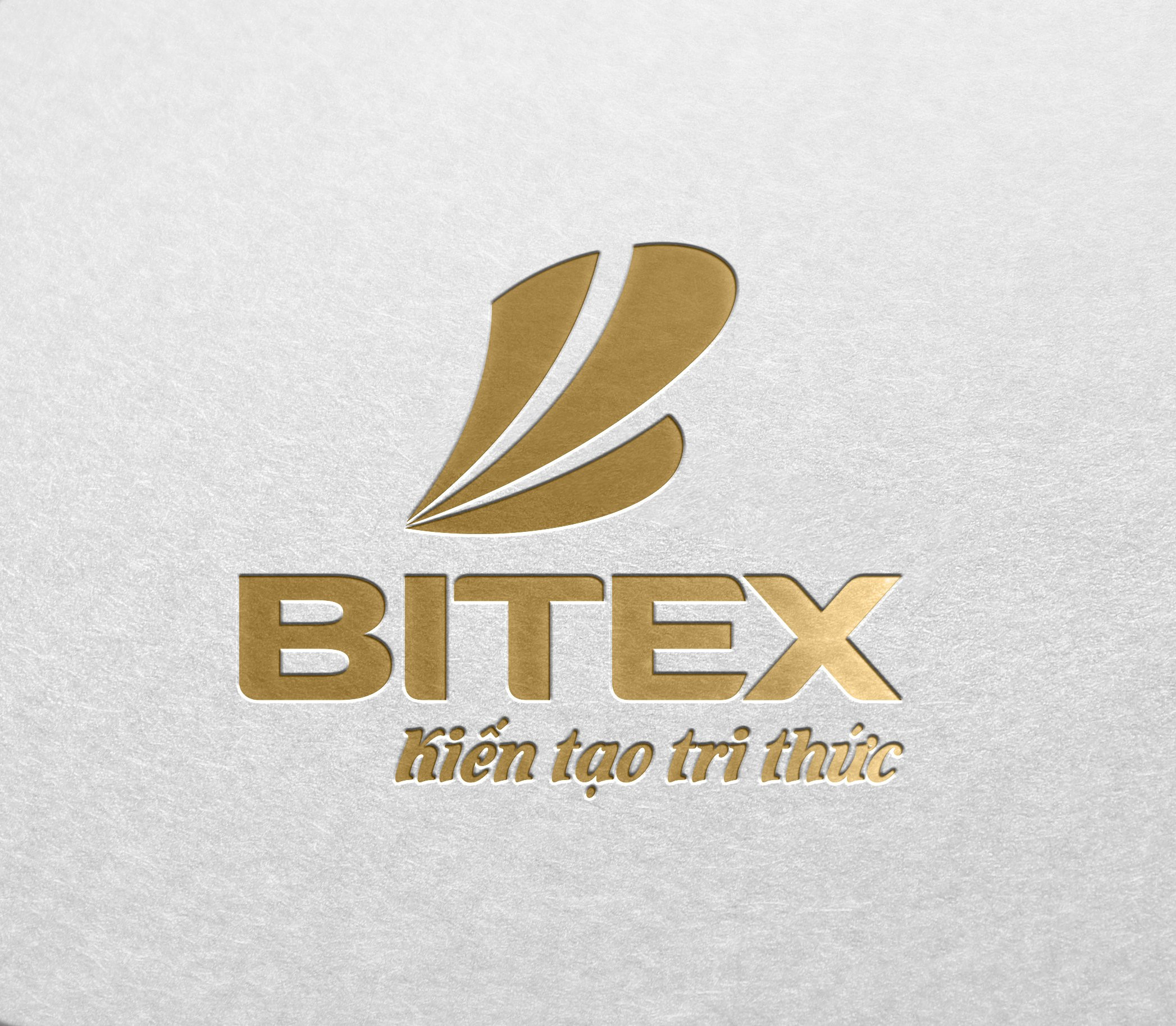 Bitex - Nhà Phân Phối Độc Quyền Máy Tính Casio Việt Nam (Công Ty CP Xnk Bình Tây)