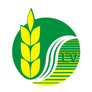 Công Ty Cổ Phần Lúa Vàng