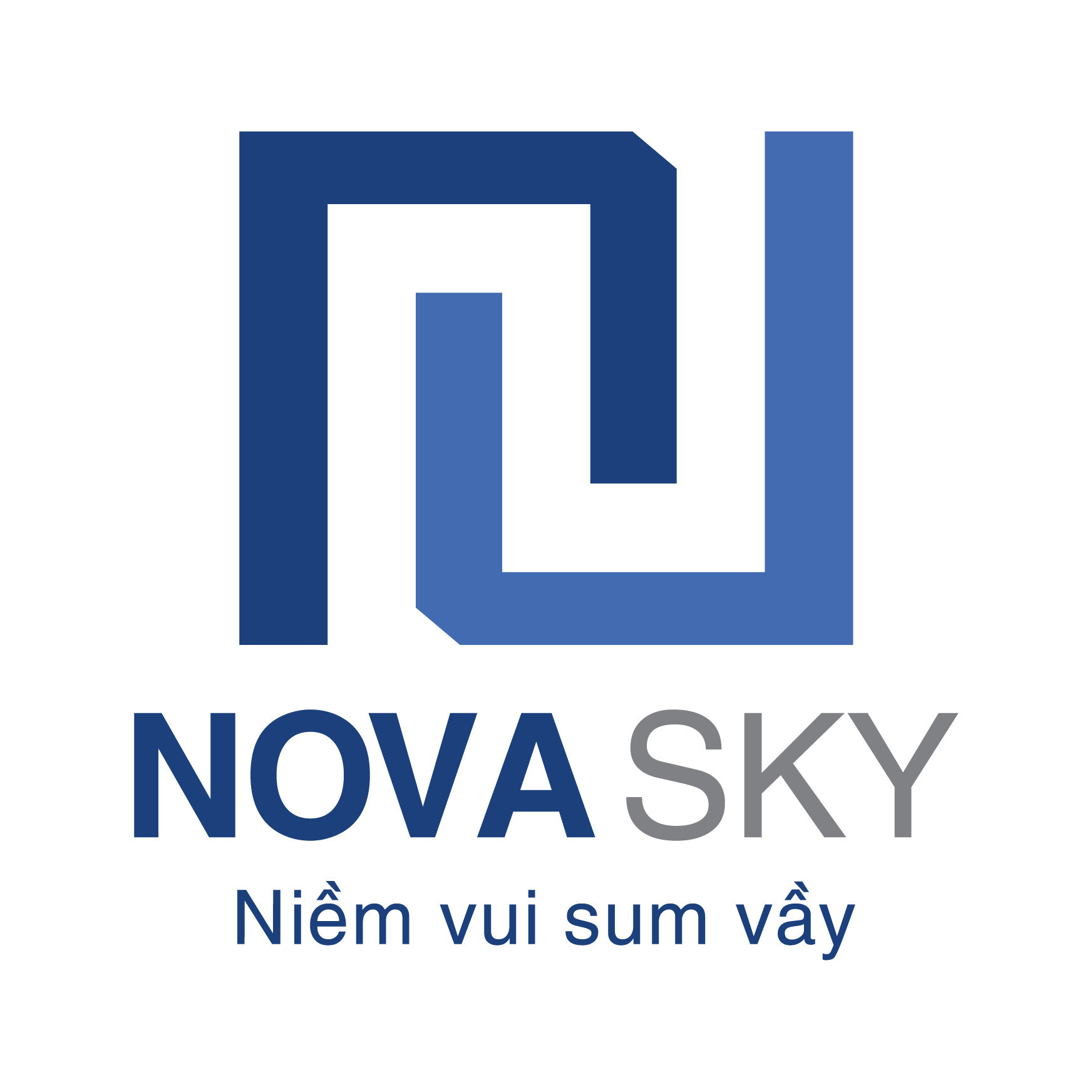 NVS