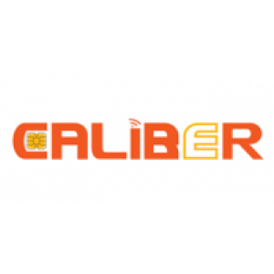 Công ty CP Hệ thống & Công nghệ Caliber Tuyển Dụng | Vieclam24h