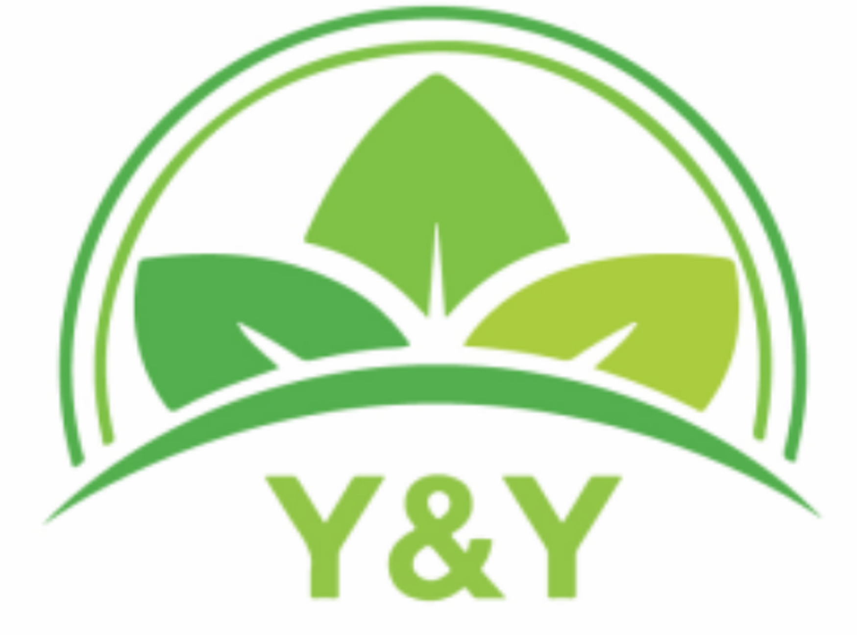 Công Ty Cổ Phần Y&Y Group