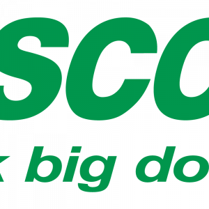 Công ty Cổ phần VISCOM