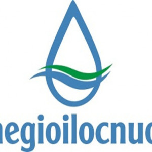 Logo Euromade Việt Nam