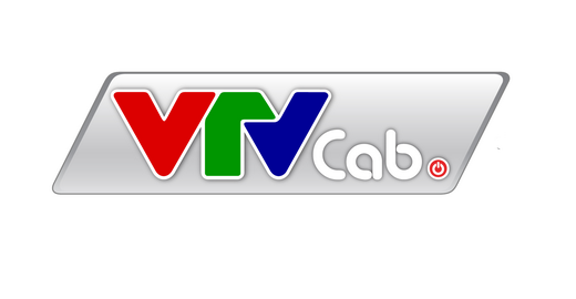 CÔNG TY CỔ PHẦN TỔNG CÔNG TY TRUYỀN HÌNH CÁP VIỆT NAM