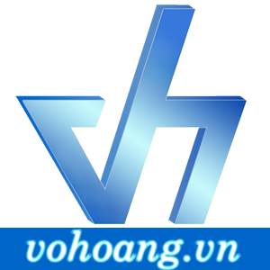  CÔNG TY TNHH THƯƠNG MẠI - ĐẦU TƯ VÕ HOÀNG