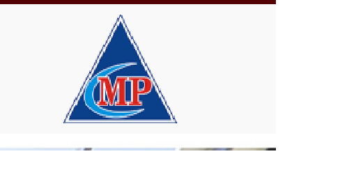 Công Ty TNHH TM Và SX Sơn Tĩnh Điện Mãnh Phát