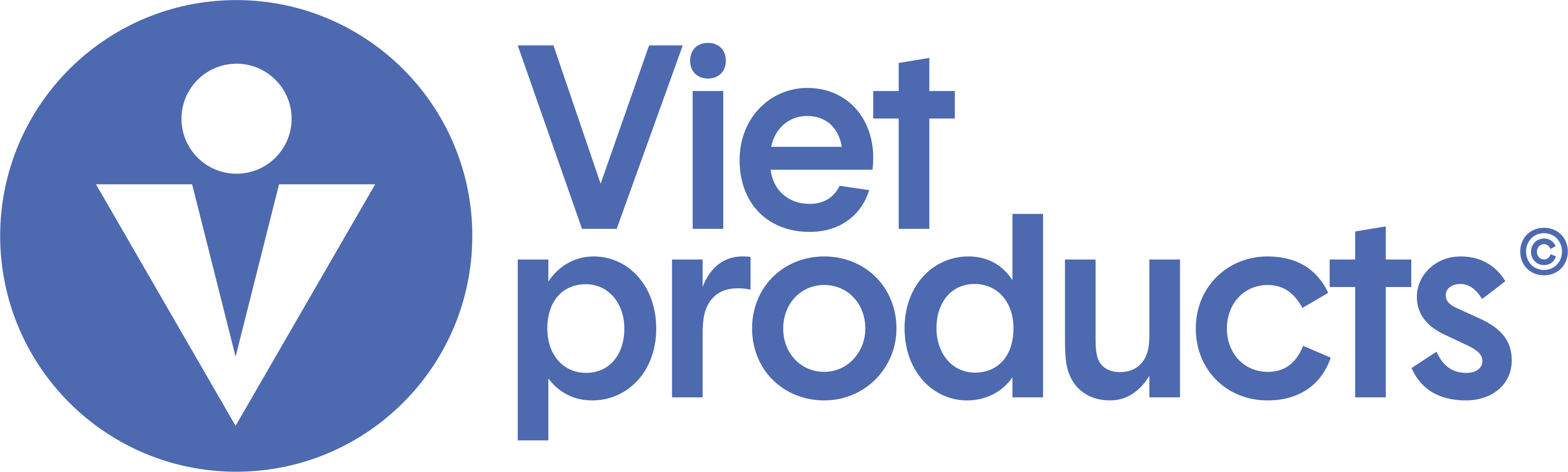 Công Ty Cổ Phần Xuất Nhập Khẩu Hàng Việt