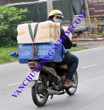 Công ty TNHH Vận Chuyển Ngày Đêm logo