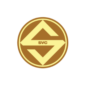 Công Ty Cổ Phần Sóng Việt logo