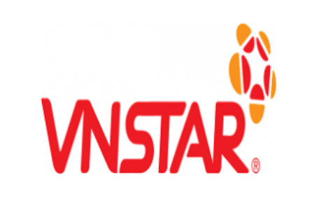 Công ty Cổ phần Sao Việt Nam logo